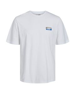 Jack & Jones JcoFly Small Scaled Crew Neck T-Shirt-WHITE