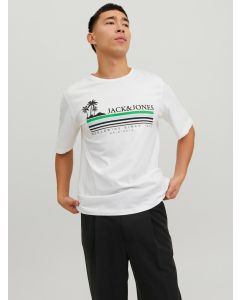 Jack & Jones JorCody Summer Crew Neck T-Shirt-WHITE